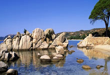 开云官方app入口-FPX绝地反击EDG，Doinb送出助攻，助力FPX翻盘晋级！